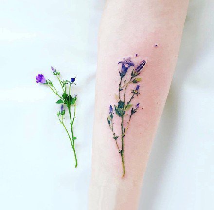 点击大图看下一张：植物花卉纹身：27张鲜艳的彩色花卉植物纹身图案