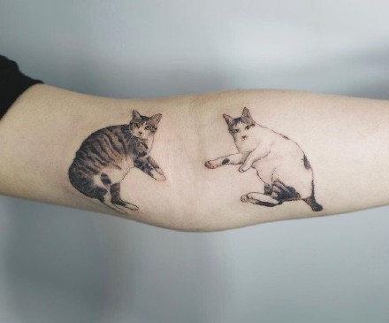 点击大图看下一张：小清新猫纹身：狠可爱的一组小清新猫纹身图案