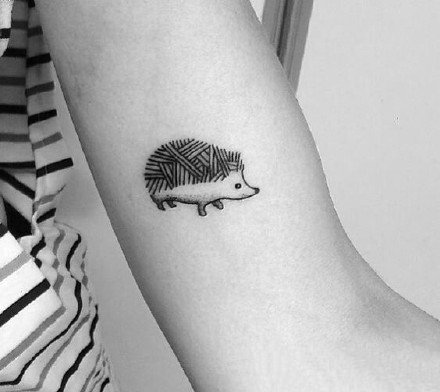 点击大图看下一张：刺猬刺青：一组可爱的小刺猬纹身图片欣赏
