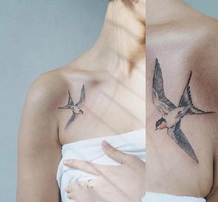 点击大图看下一张：燕子刺青+简约又好看的黑灰燕子纹身图案欣赏