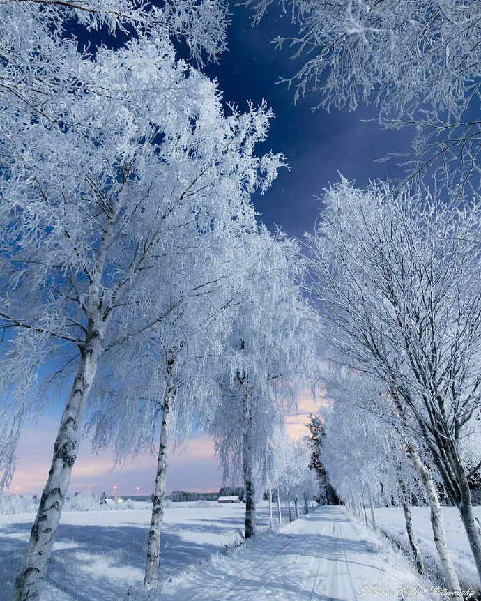 点击大图看下一张：一片雪景显得芬兰像雪白世界