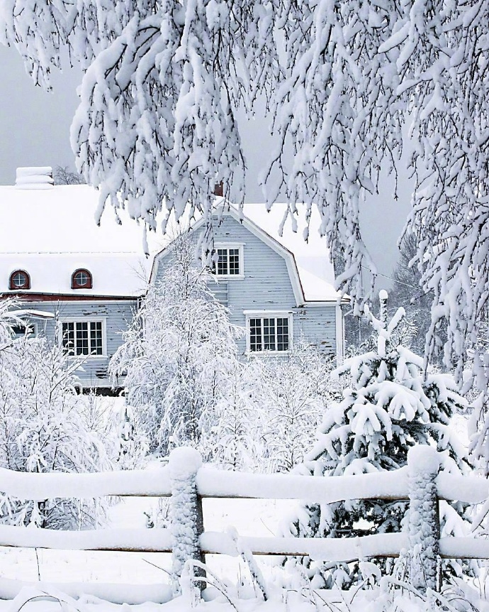 点击大图看下一张：一片雪景显得芬兰像雪白世界