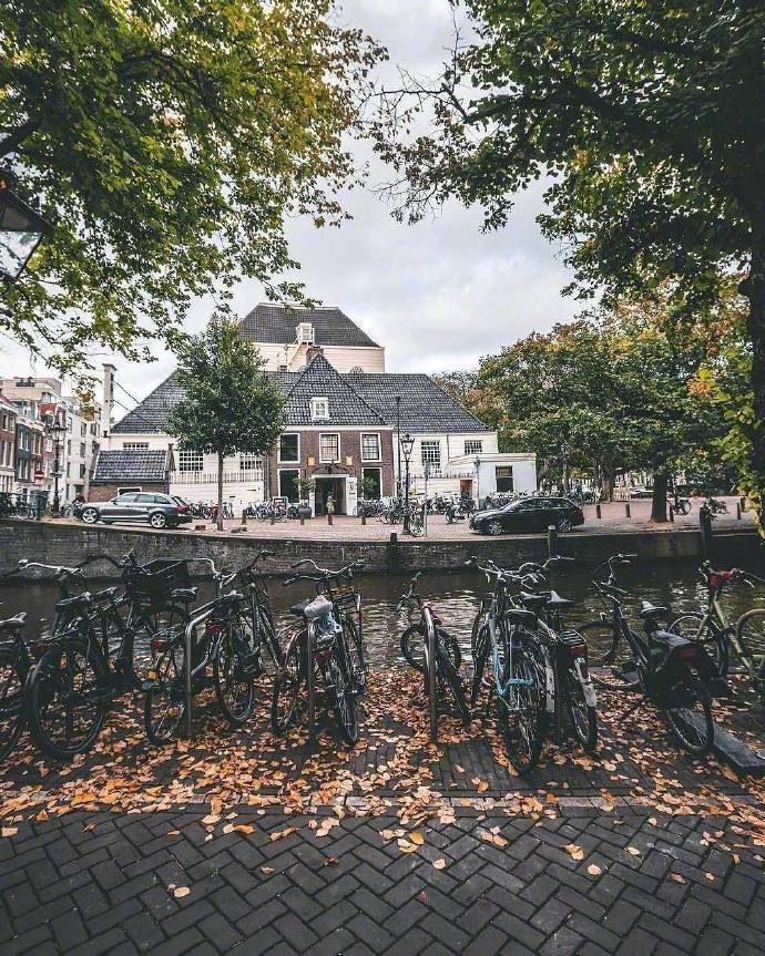 点击大图看下一张：阿姆斯特丹的秋天美的像一幅画