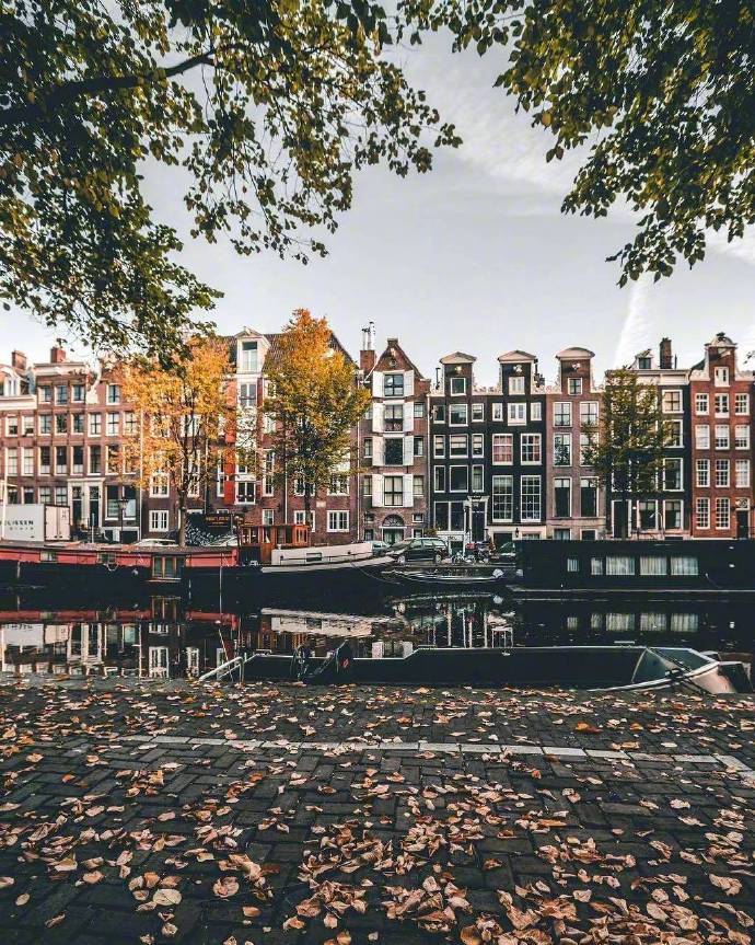点击大图看下一张：阿姆斯特丹的秋天美的像一幅画