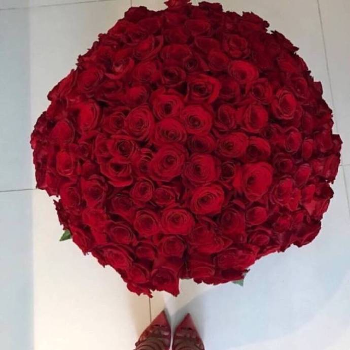 点击大图看下一张：超大束艳丽的红玫瑰图片欣赏