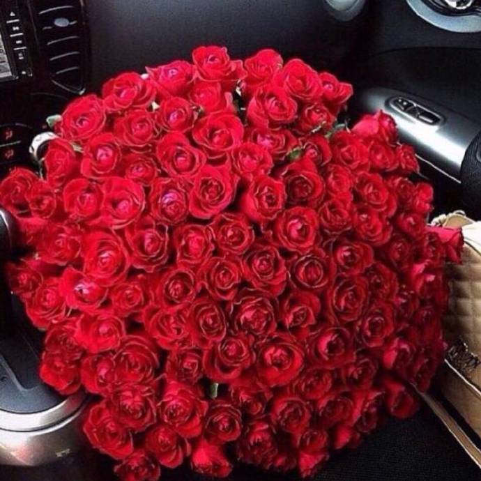 点击大图看下一张：超大束艳丽的红玫瑰图片欣赏