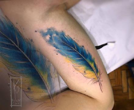 点击大图看下一张：一组羽毛题材的水彩羽毛纹身图案9张