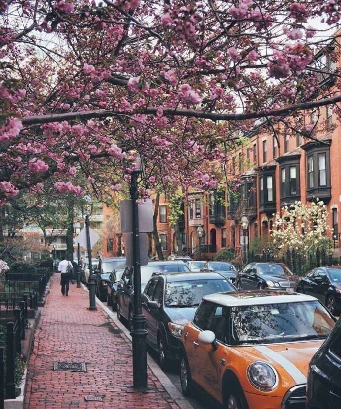 点击大图看下一张：波士顿的春天街道拍摄图片欣赏