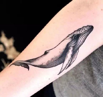 点击大图看下一张：黑灰色的一组创意鲸鱼纹身图案