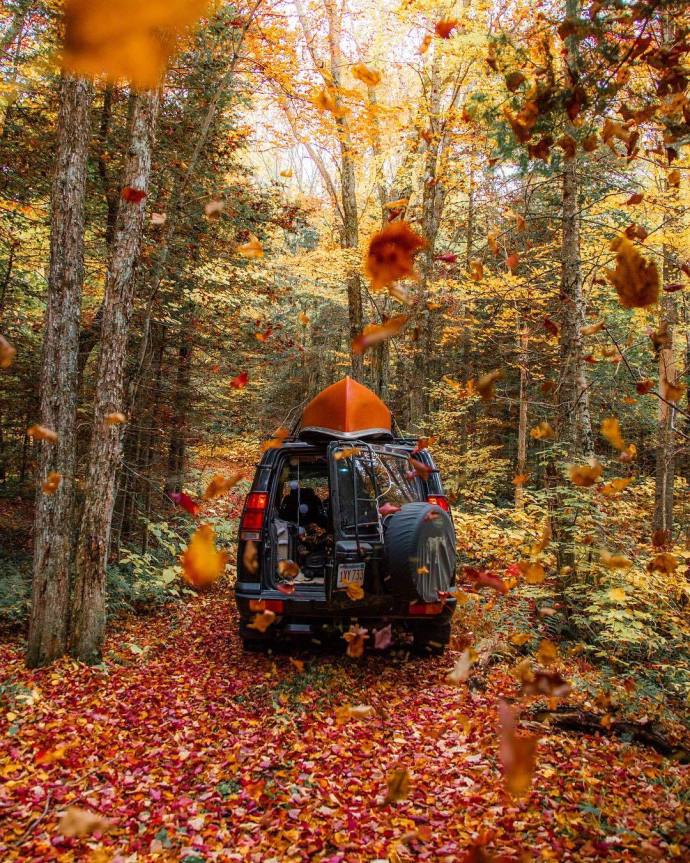 点击大图看下一张：想生活在秋天的森林里 秋天美景欣赏