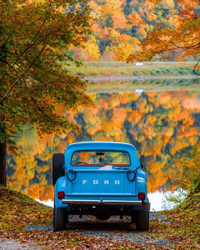 点击大图看下一张：想生活在秋天的森林里 秋天美景欣赏