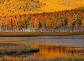 呼伦贝尔的秋天美景图片欣赏