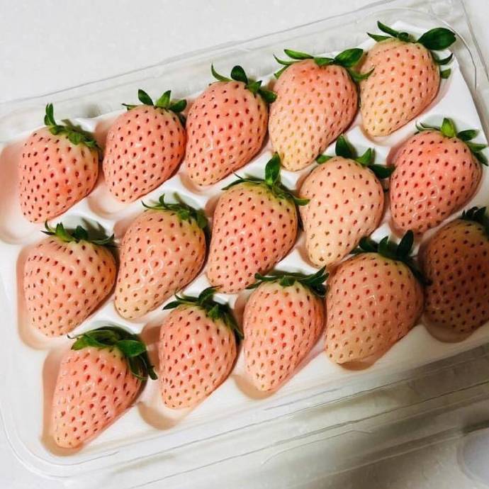 点击大图看下一张：一组粉粉的好看草莓图片欣赏