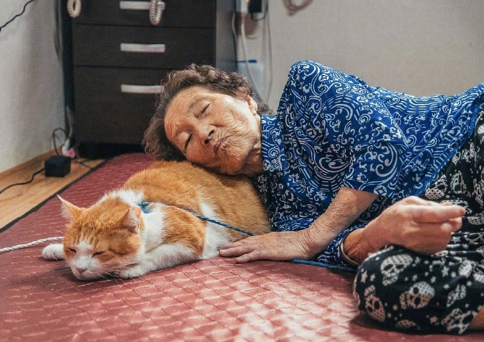 点击大图看下一张：乡下奶奶和猫咪的日常生活拍摄图片