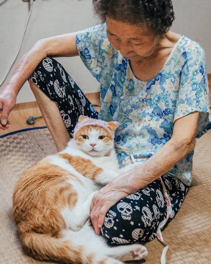 点击大图看下一张：乡下奶奶和猫咪的日常生活拍摄图片