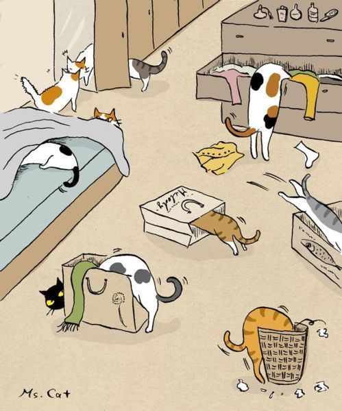 点击大图看下一张：猫猫世界的卡通壁纸图片