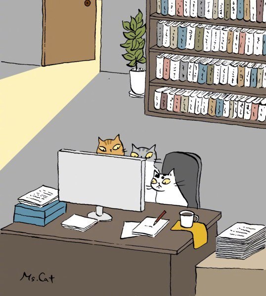 点击大图看下一张：猫猫世界的卡通壁纸图片