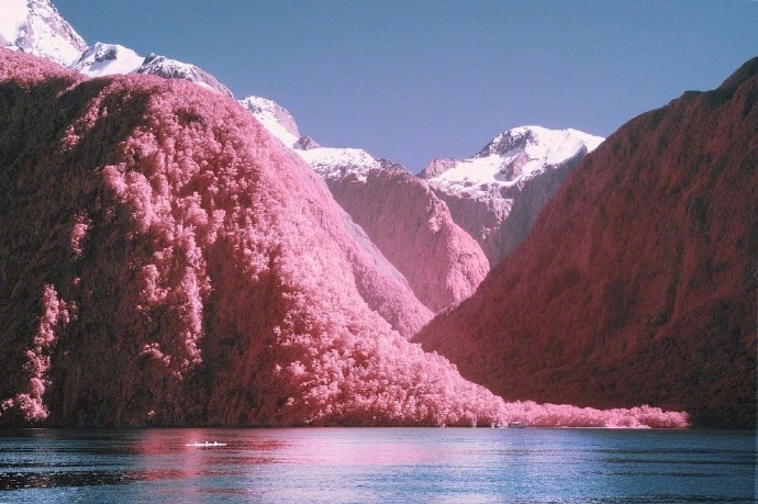 点击大图看下一张：好想融化在新西兰这样的粉色当中