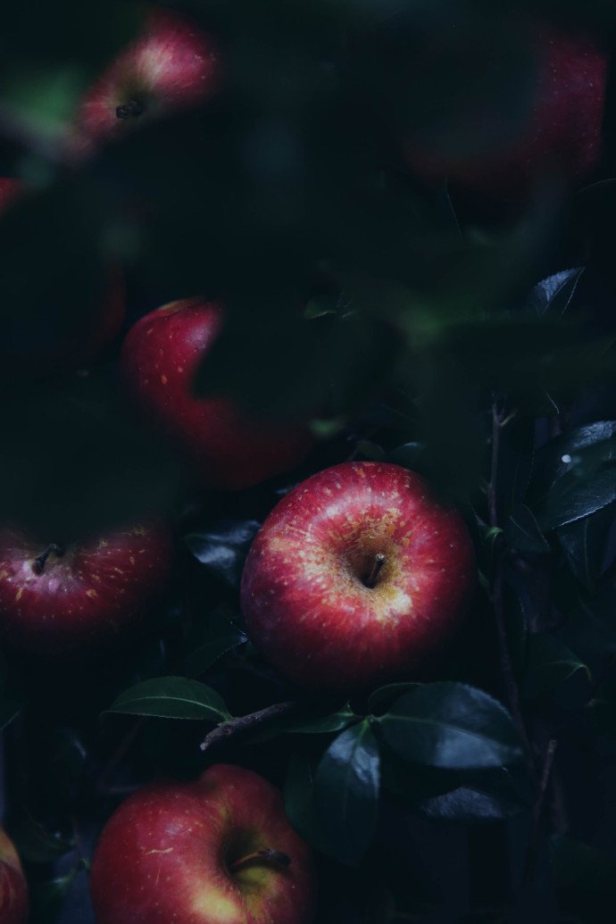 点击大图看下一张：苹果油润的质感写真图片欣赏