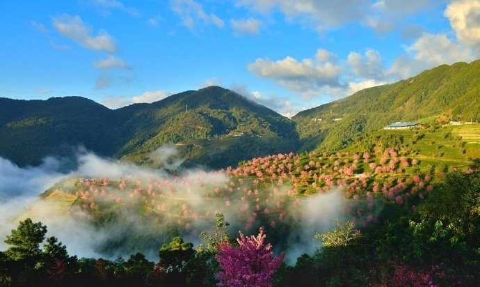 点击大图看下一张：一组特别仙的山中美景图片欣赏