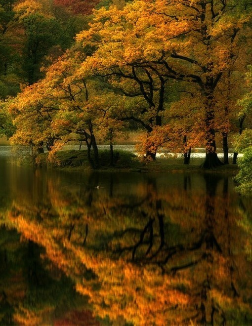 点击大图看下一张：秋天，是一首静美而又婉转的诗，碧水映晴空