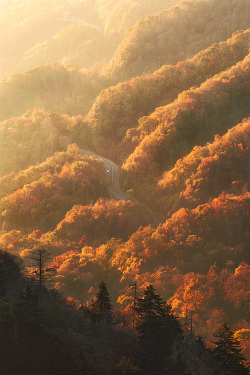 点击大图看下一张：秋天，是一首静美而又婉转的诗，碧水映晴空