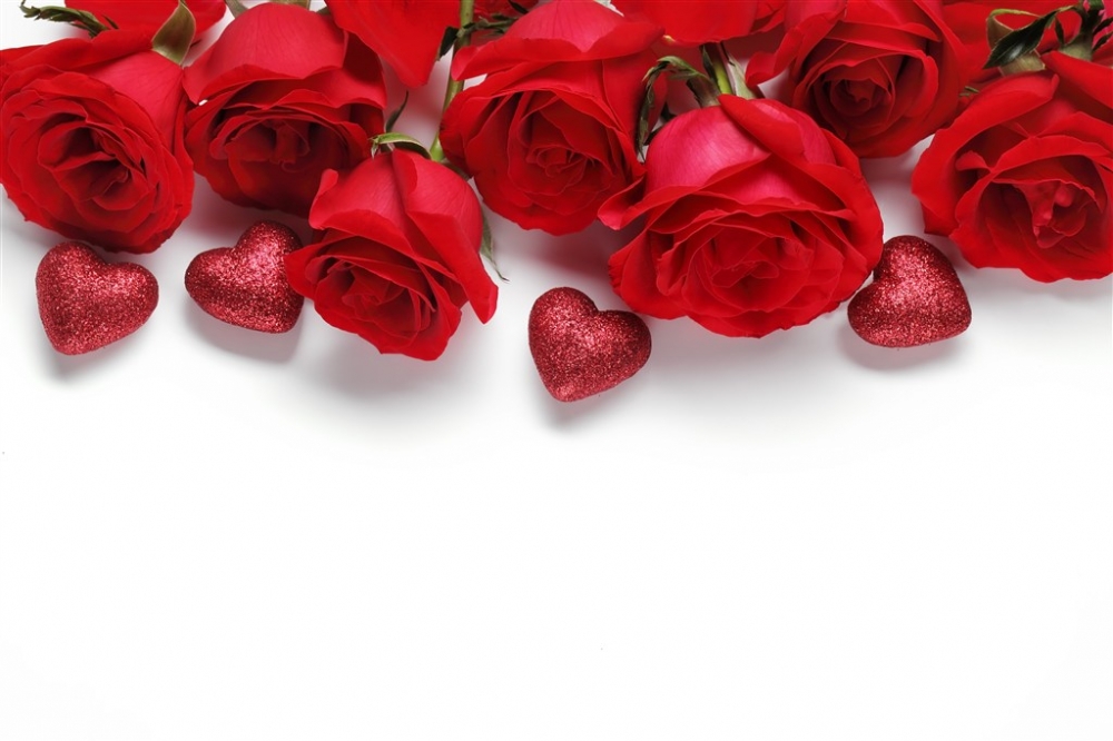 点击大图看下一张：一组超浪漫唯美的红玫瑰图片欣赏