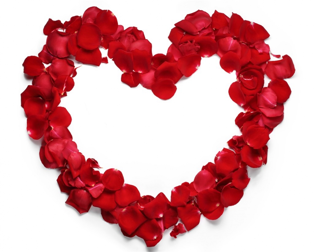 点击大图看下一张：一组超浪漫唯美的红玫瑰图片欣赏