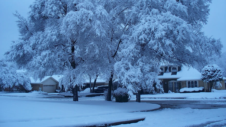 点击大图看下一张：树上全是白茫茫的一片的雪景图片欣赏