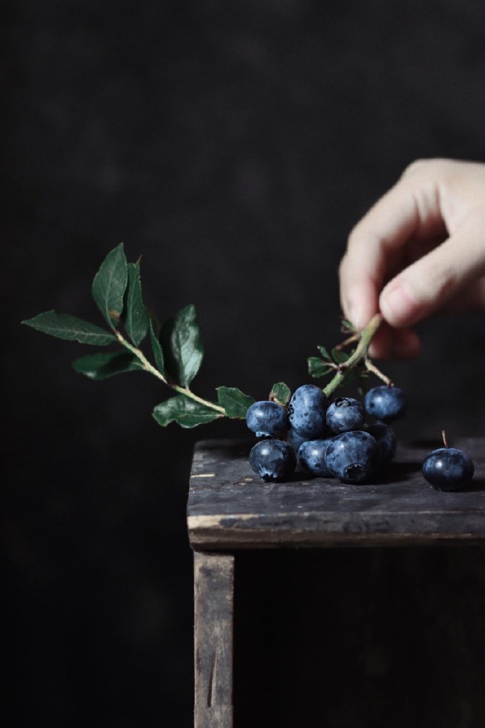 点击大图看下一张：在夏秋季节成熟起来的蓝莓果，一个个蓝盈盈的薄皮、珠光宝气