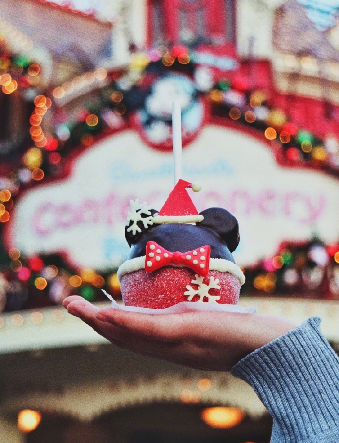 点击大图看下一张：一组超可爱的圣诞限定的冰淇淋图片