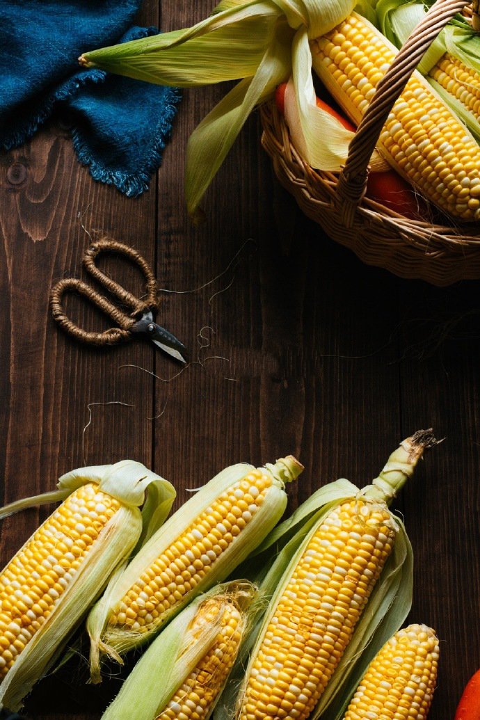 点击大图看下一张：一组健康营养的玉米图片欣赏