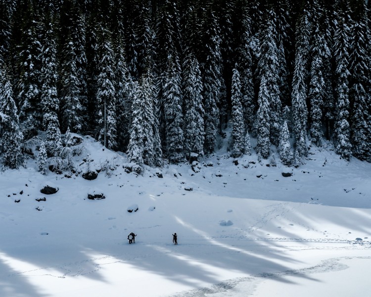 点击大图看下一张：白雪皑皑的冬季图片