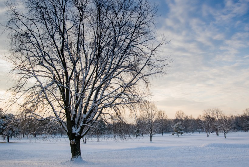 点击大图看下一张：白雪覆盖的冬季图片