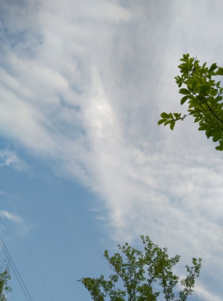 点击大图看下一张：天空中飘动的白云图片