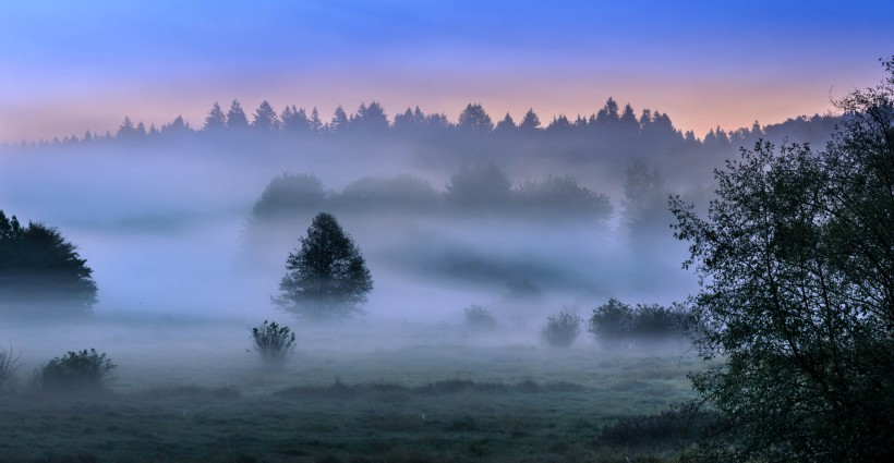 点击大图看下一张：唯美晨雾风景图片
