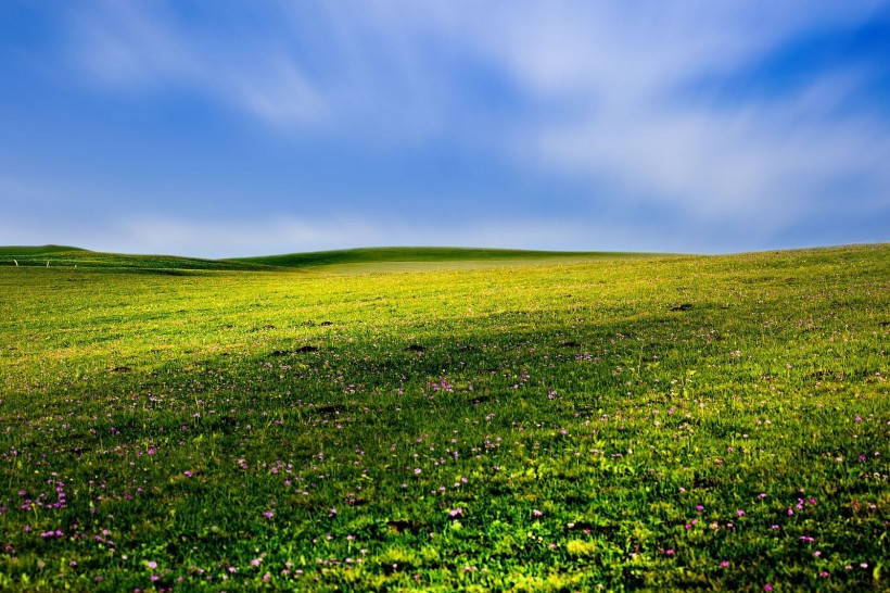 点击大图看下一张：春天的草原风景图片