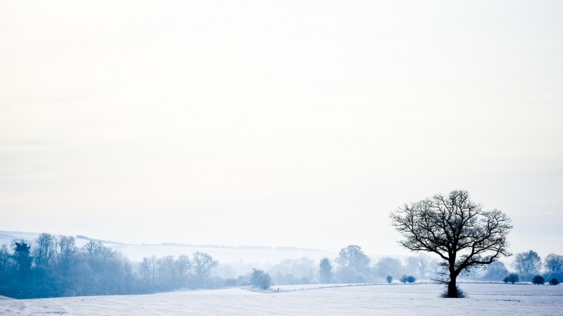 点击大图看下一张：初雪唯美风景图片