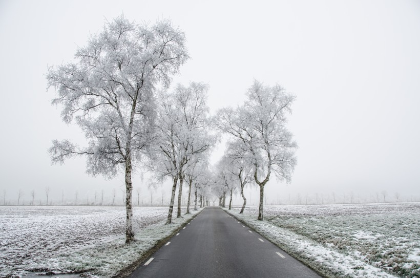 点击大图看下一张：银装素裹的冬季图片