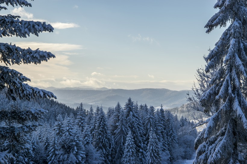 点击大图看下一张：冬季风景图片
