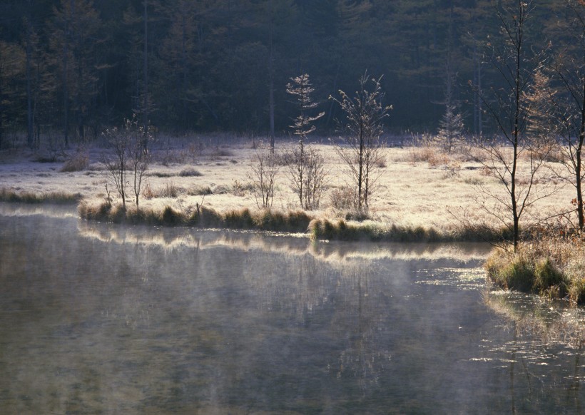 点击大图看下一张：冬季树木河流风景图片