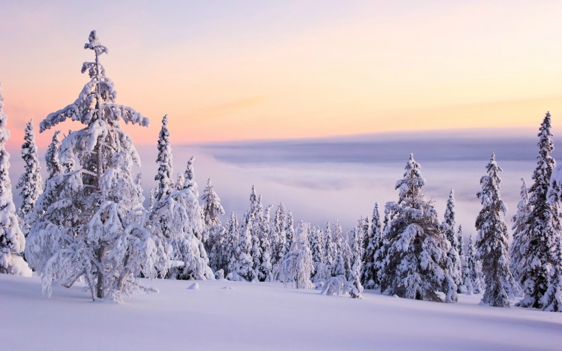 点击大图看下一张：冬季秀丽雪景图片