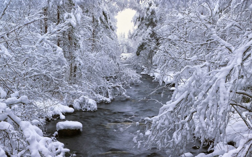 点击大图看下一张：冬季大雪覆盖的风景图片