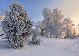 冬季大雪覆盖的风景图片_12张