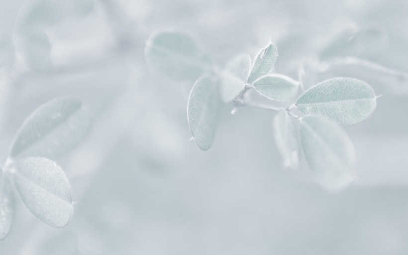点击大图看下一张：冬日唯美雪景图片