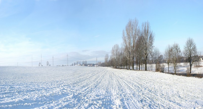 点击大图看下一张：冬日雪景图片