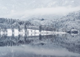 冬天下雪时的美景图片_12张