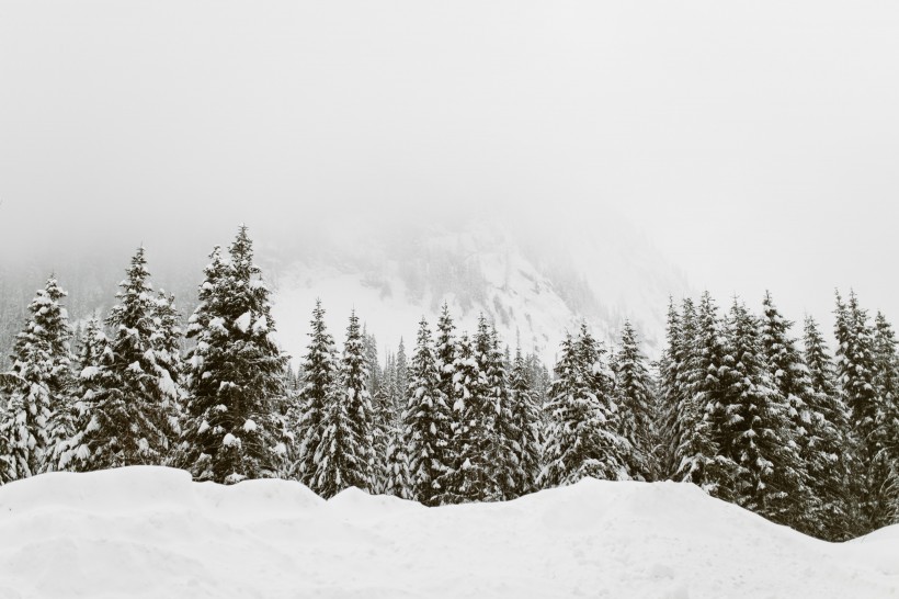 点击大图看下一张：冬天的雪景图片