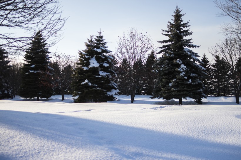 点击大图看下一张：冬天的雪景图片