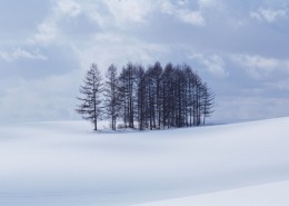 冬天的风景_29张